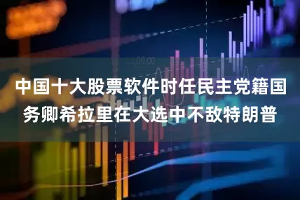 中国十大股票软件时任民主党籍国务卿希拉里在大选中不敌特朗普